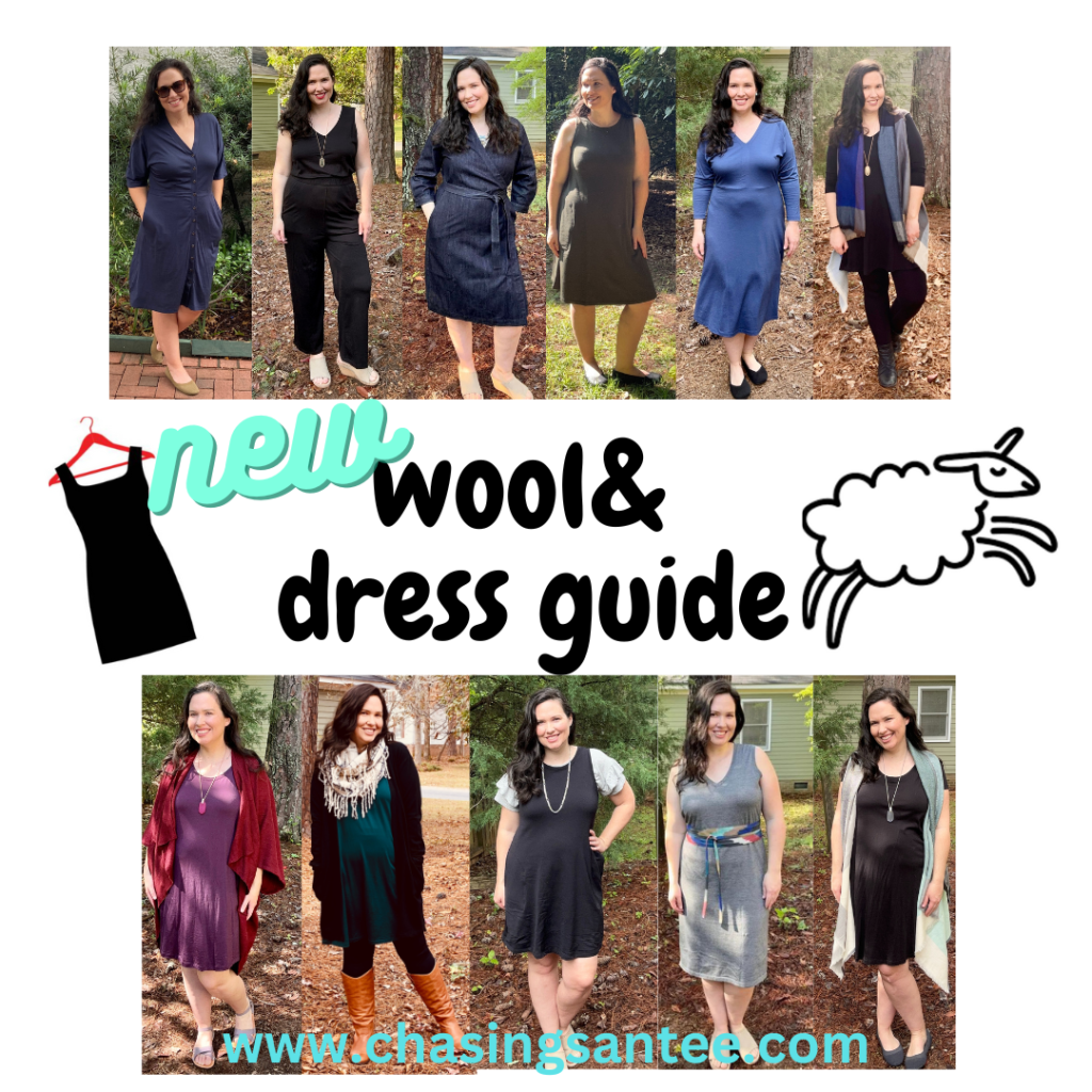 Wool& Rowena Swing Dress Review